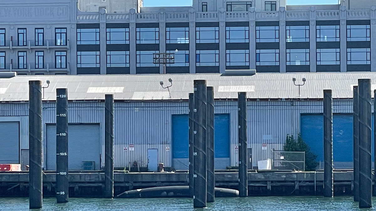 Pier 12 Terminal Piles